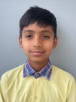 Anas
